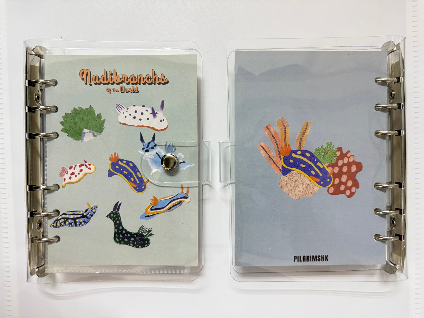 海洋元素 note book / dive logbook